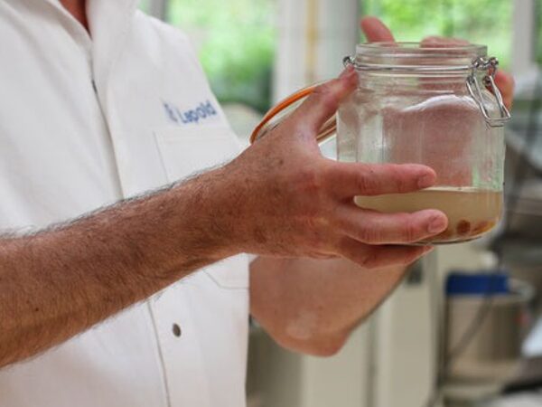 27.06.2026 - Backen & Sauerteig