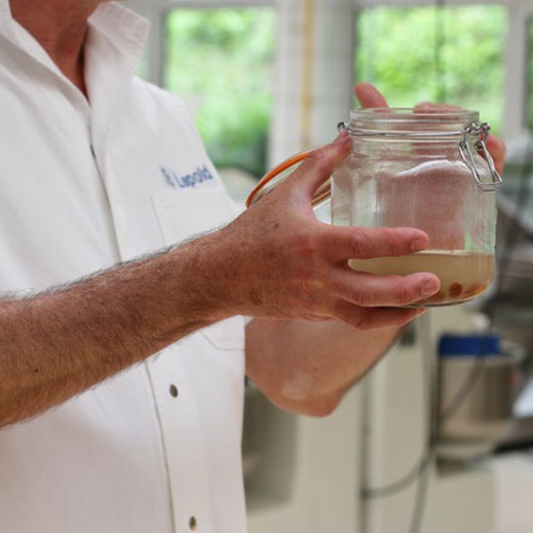 27.06.2026 - Backen & Sauerteig