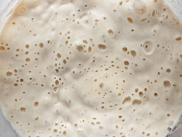 Modul 3: Weizen, Rohstoffkunde und die verschiedenen Sauerteige