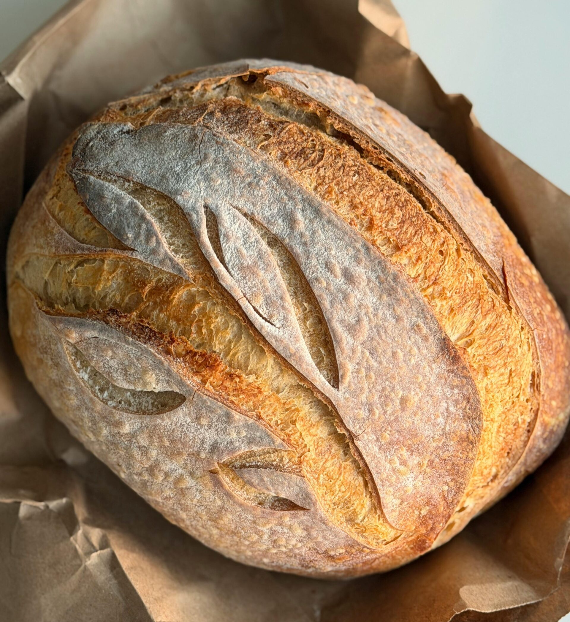 Natürliche Brotqualität ohne Backmittel | Online-Kurs